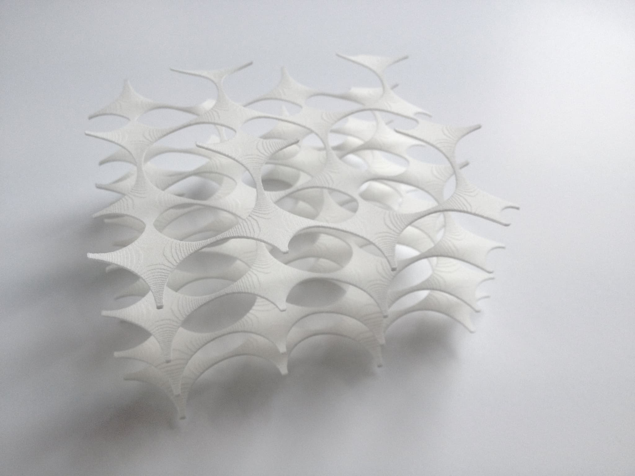 3d Printing process by Lilian van Daal.