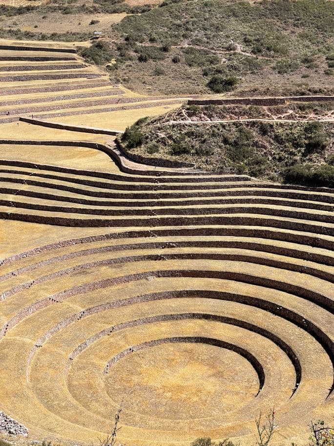 Photot courtesy of Victoria Hamann.