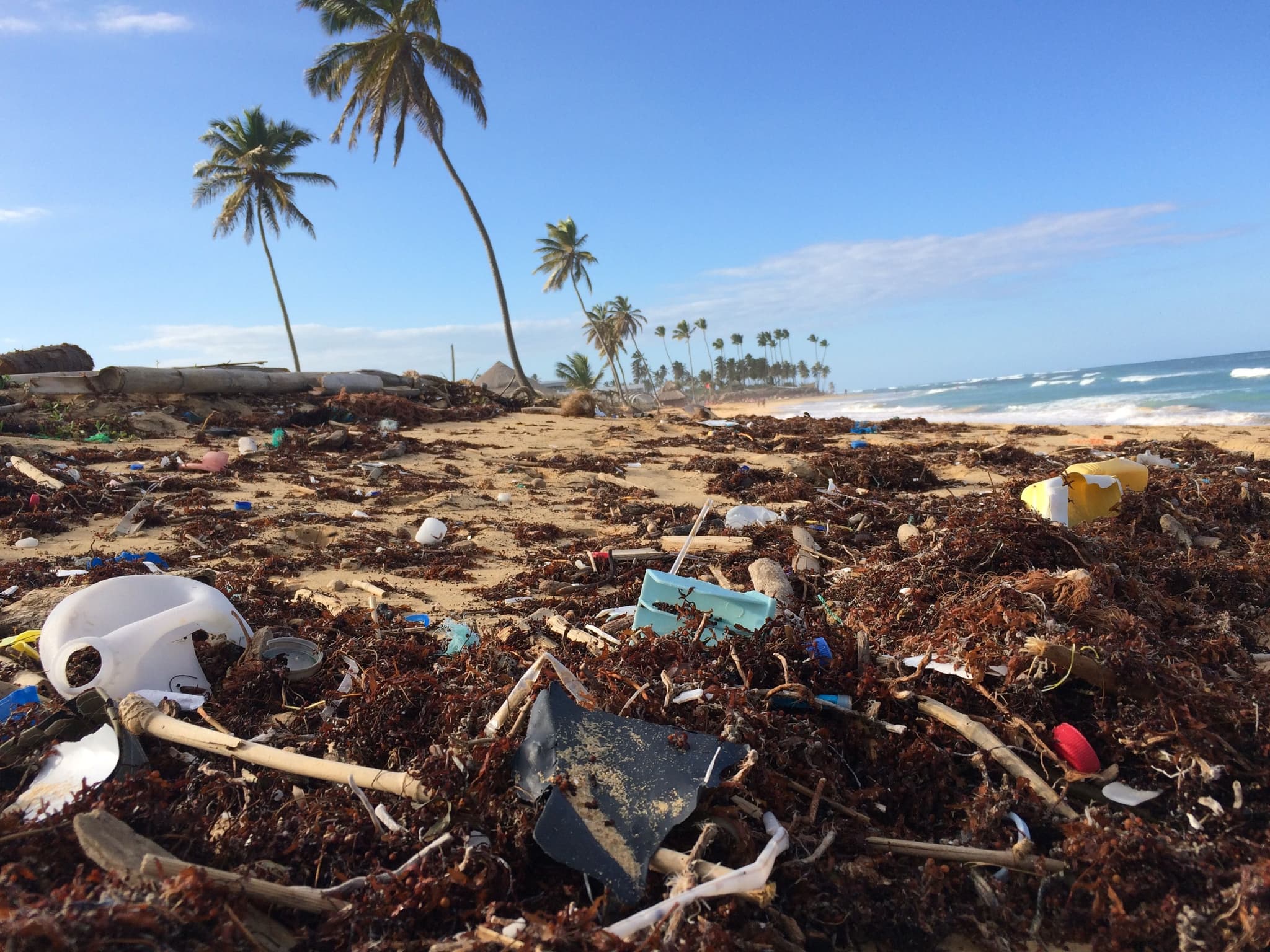 How to (really) end the single-use plastic epidemic?