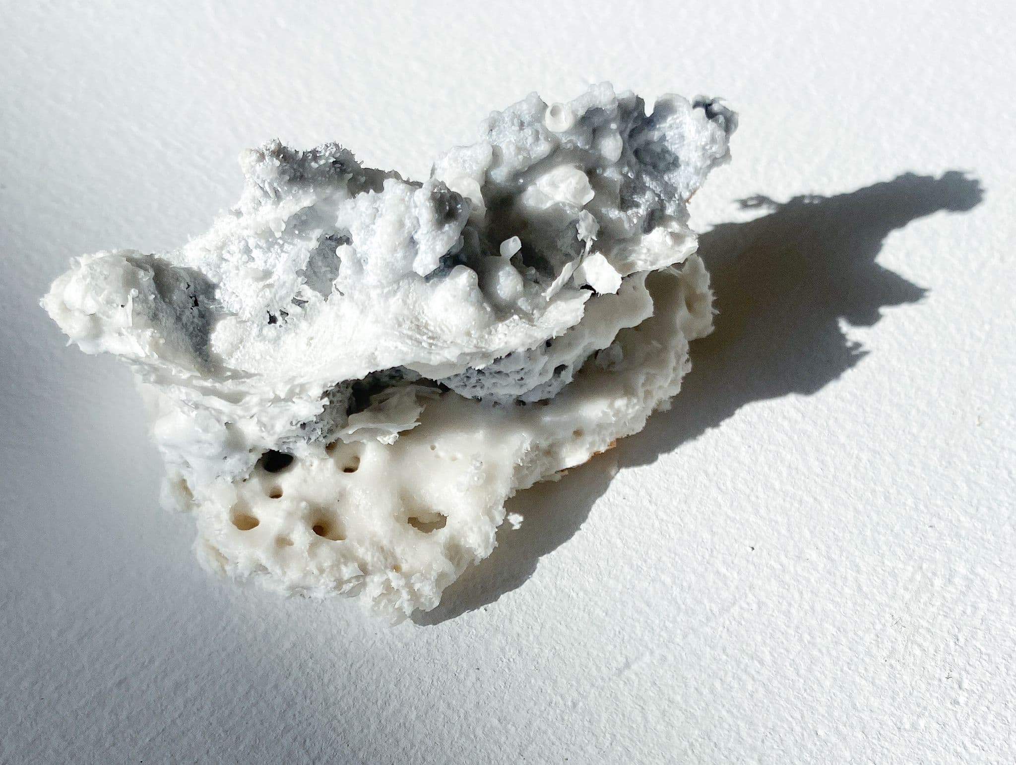 Sculpting the Ocean: Stav Bouzaglo’s Vision for Reefs, Rituals, and Biomineralization