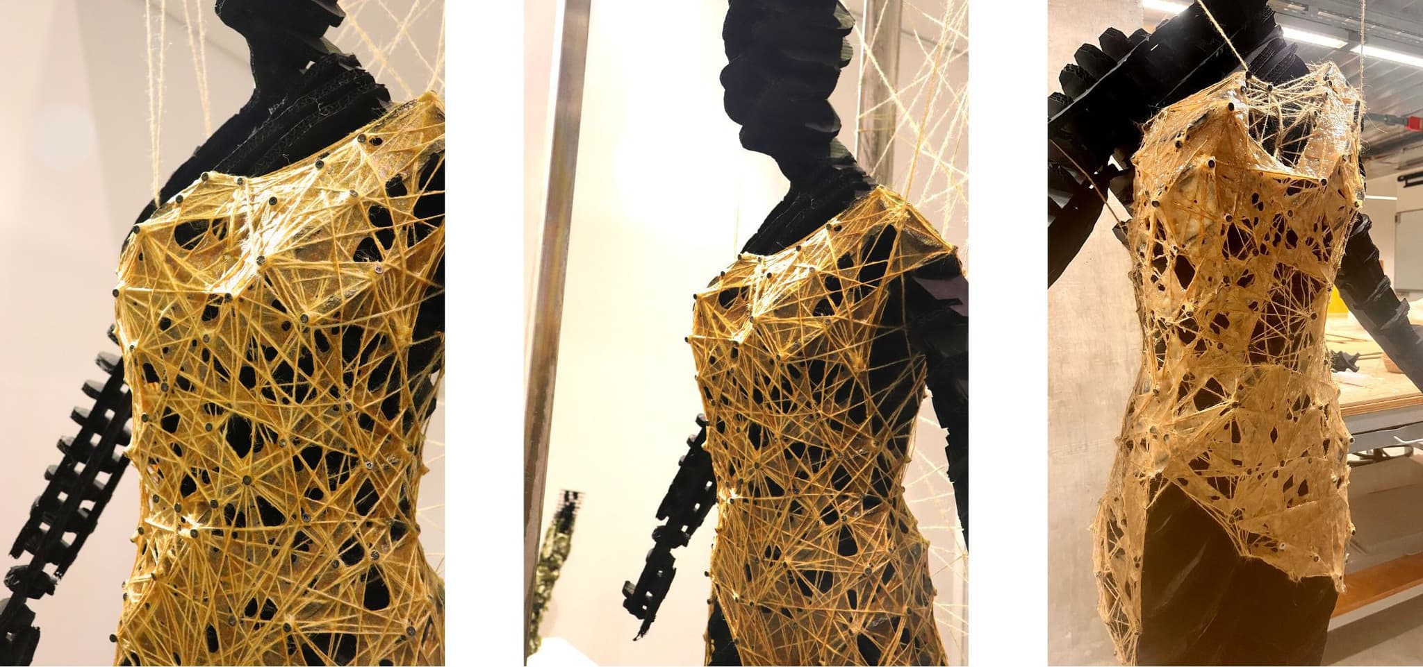 The Fibrous Muse: Explore How Bacterial Cellulose Found Its Form with Dr. Gözde Damla TURHAN-HASKARA  