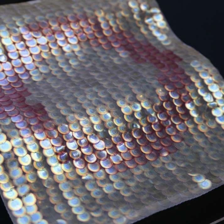  Bio-sequins developed by Radiant Matter (Source: [Radiant Matter](https://radiantmatter.co/)) 