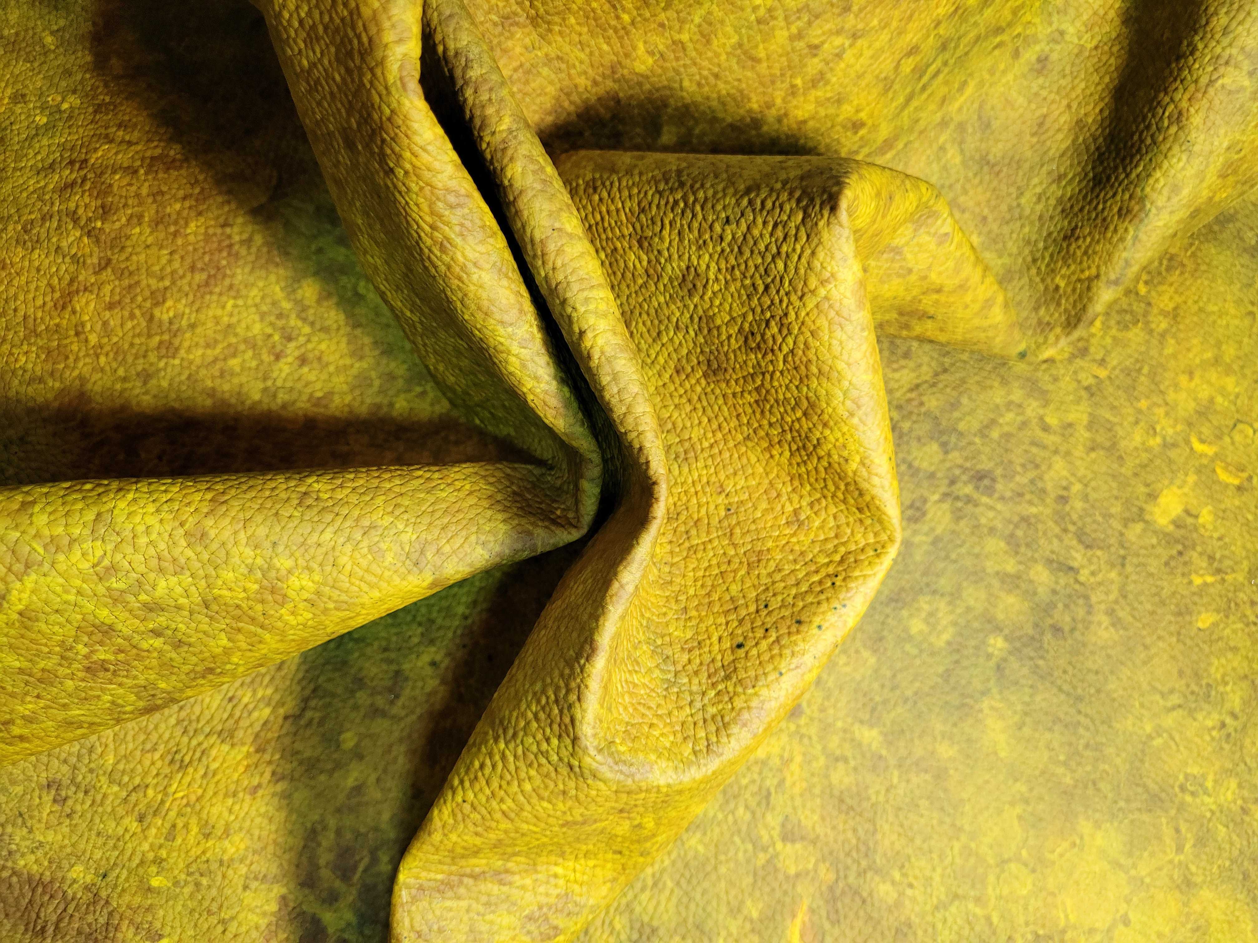 Fruit to Fashion: Polybion's craft for future