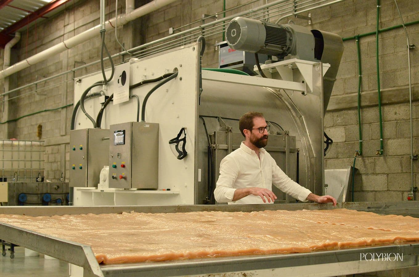  Cellulose production process at Polybion 