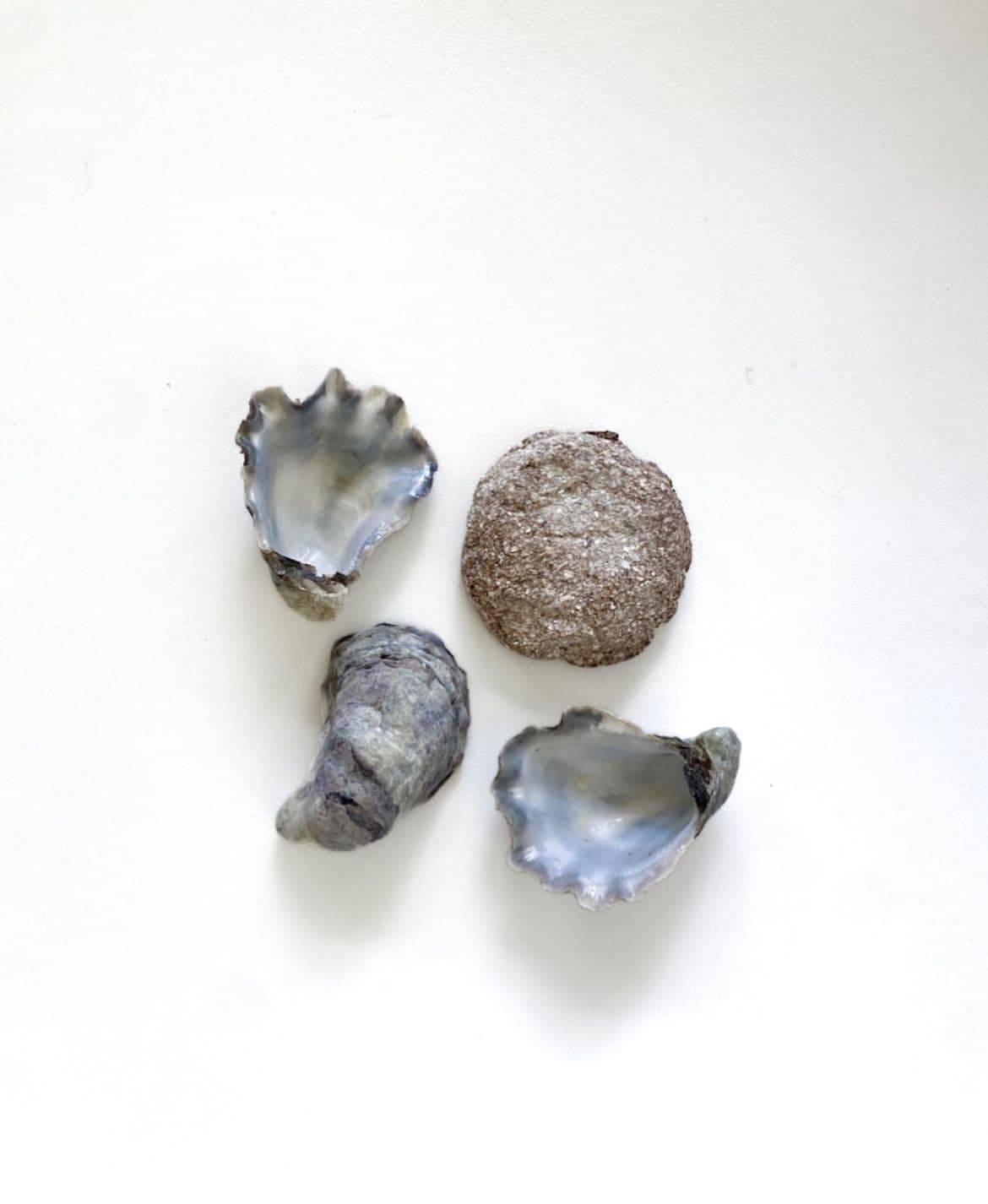  Chloe repurposes waste from various industries to create materials like bioplastics and biocomposites. 