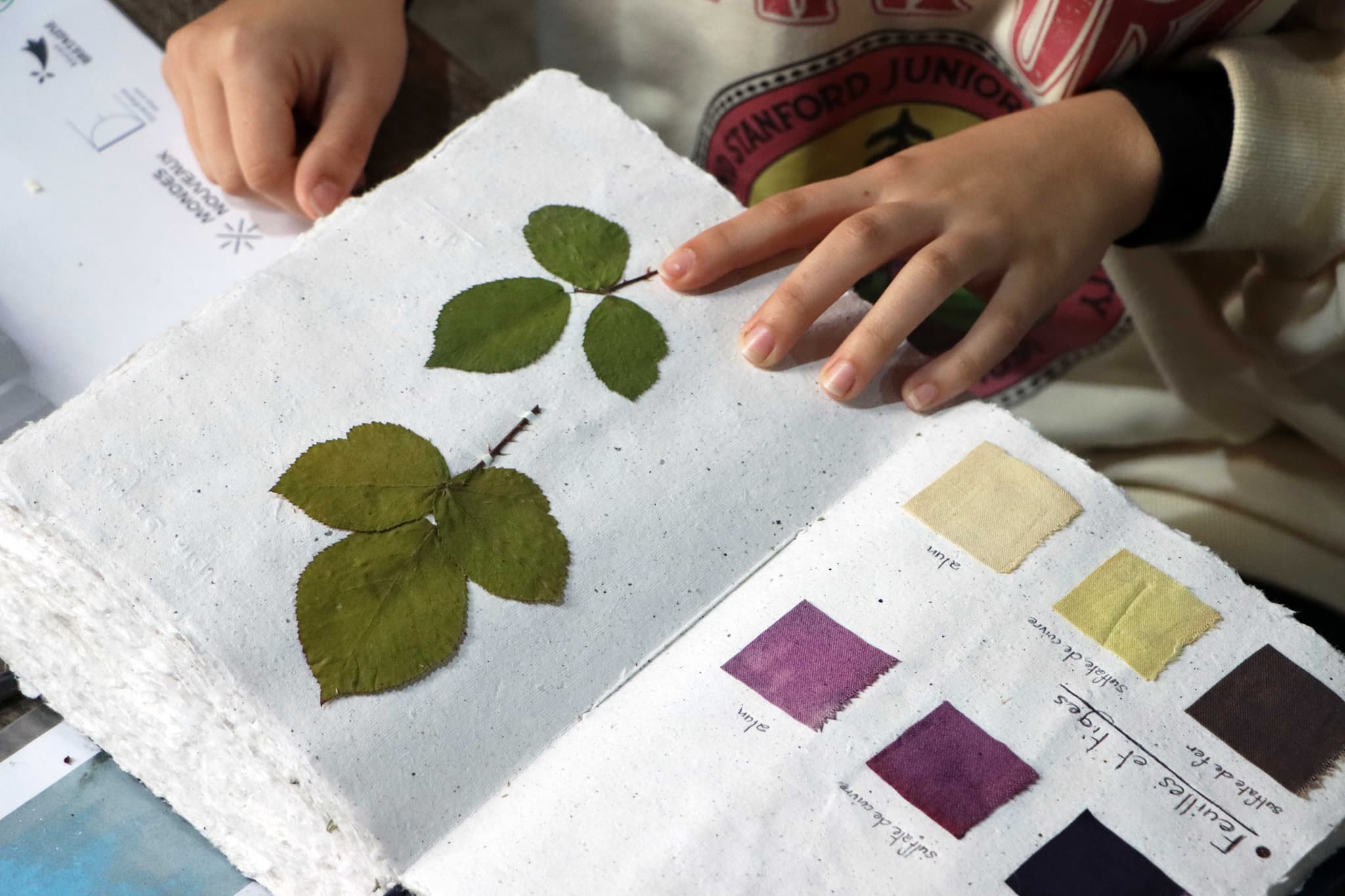  The preparation stages will then vary according to the plant 