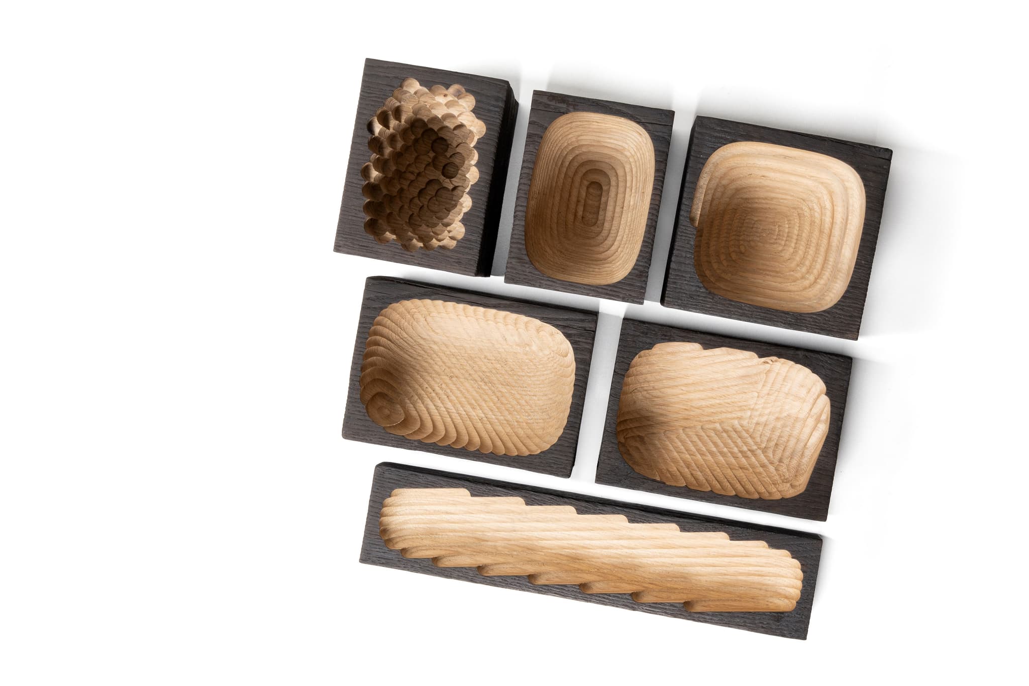  Maures's forest project by Sénéquier 