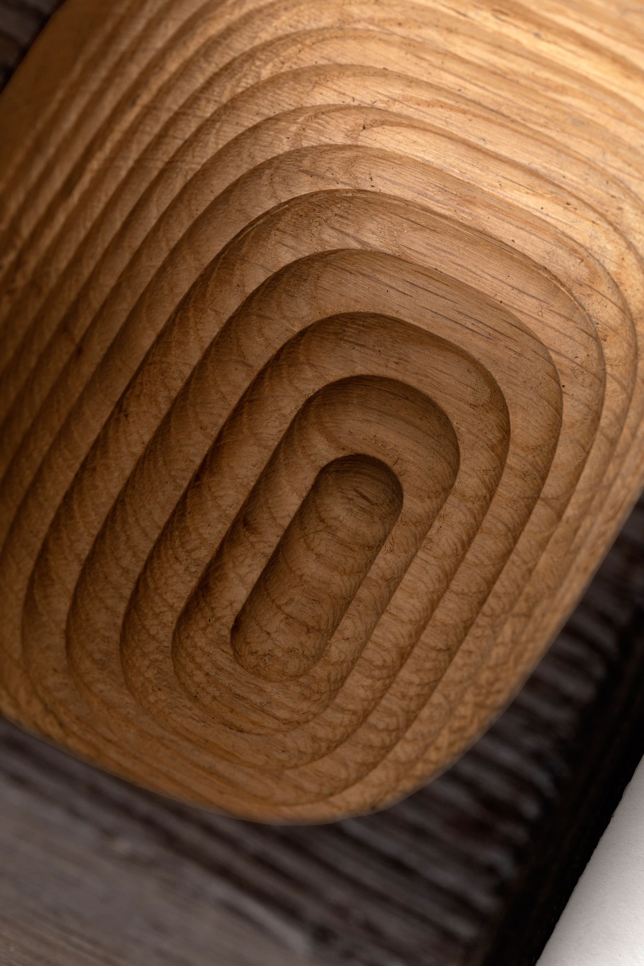  Detail of Maures's forest project by Sénéquier 