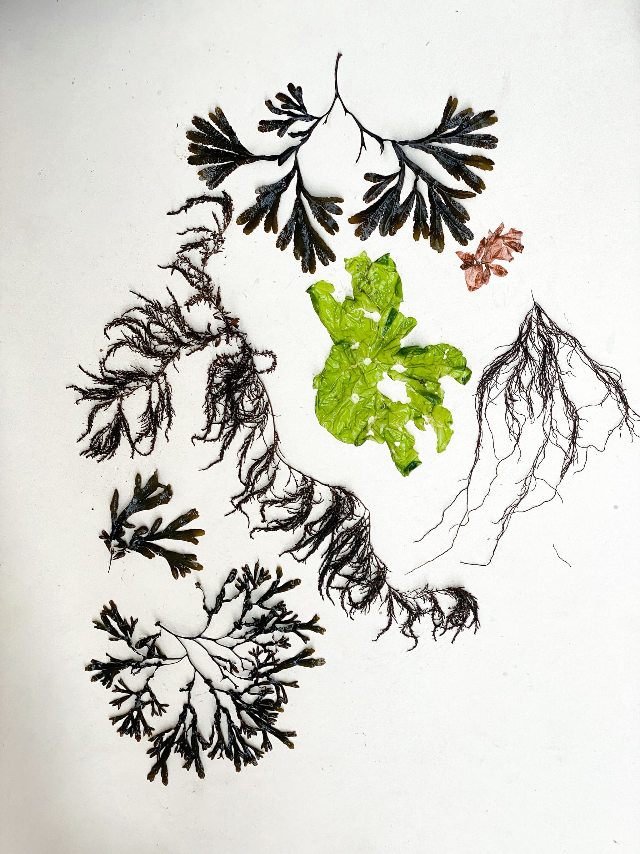  Photo by Aisha Kuijk 