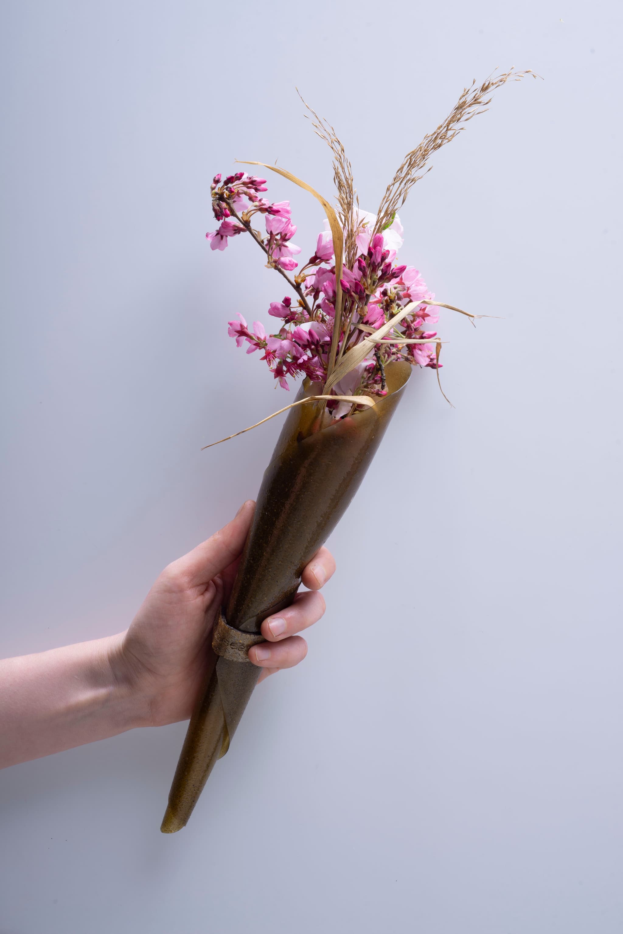  Microalgae-based packaging created by Laura Bordini 