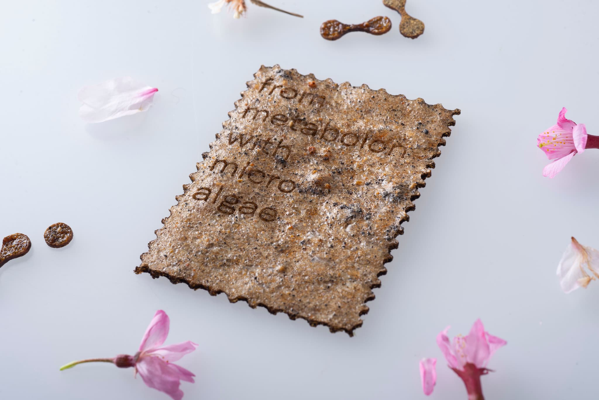  Nice to seed you (Credit: Laura Bordini) 