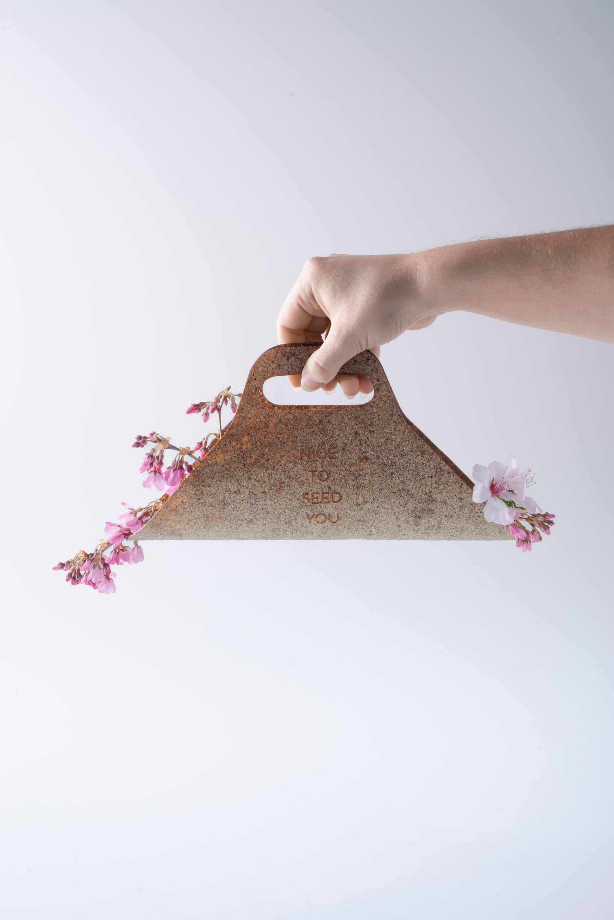  Laura Bordini's work. 