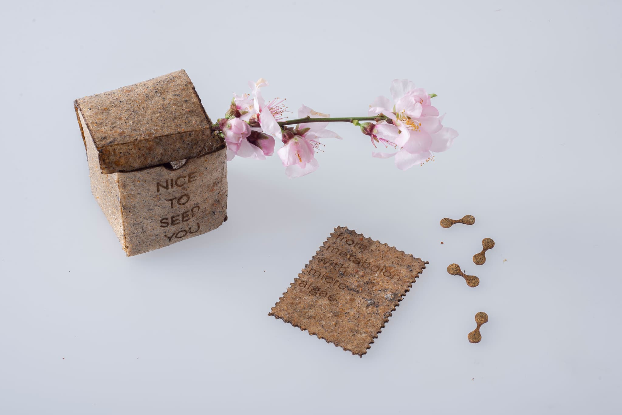  Laura used Chlorella biomass from wastewater to create packaging biomaterial for the floriculture sector. 