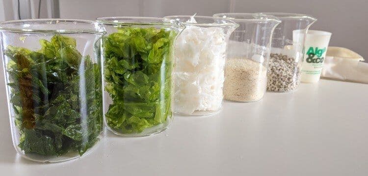  Eranova’s bio-based resins (Source: [WiSEED](https://www.wiseed.com/projet/54898880)) 