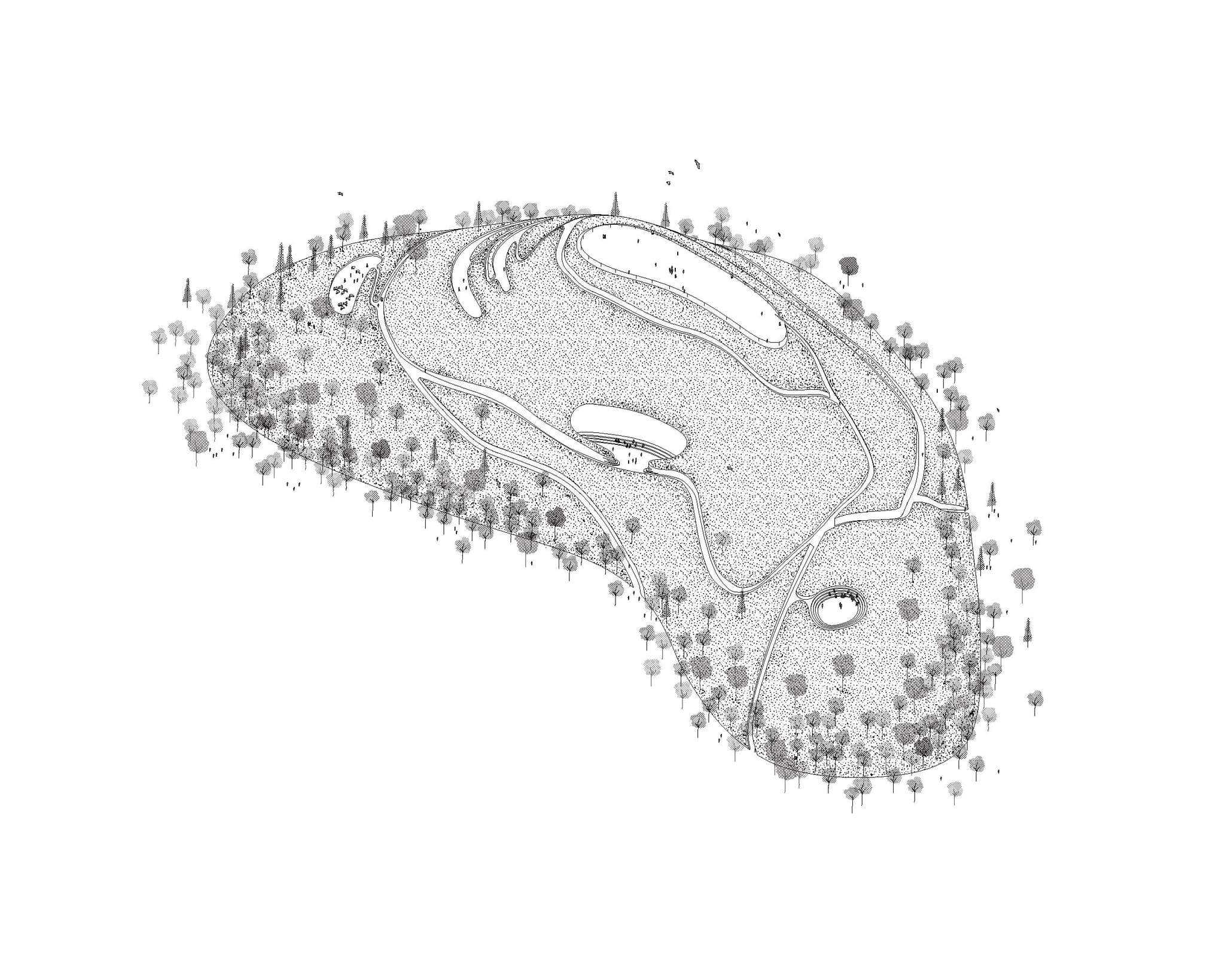  SUCCESS group engineers urban soils for CO2 sequestration and biodiversity promotion. 