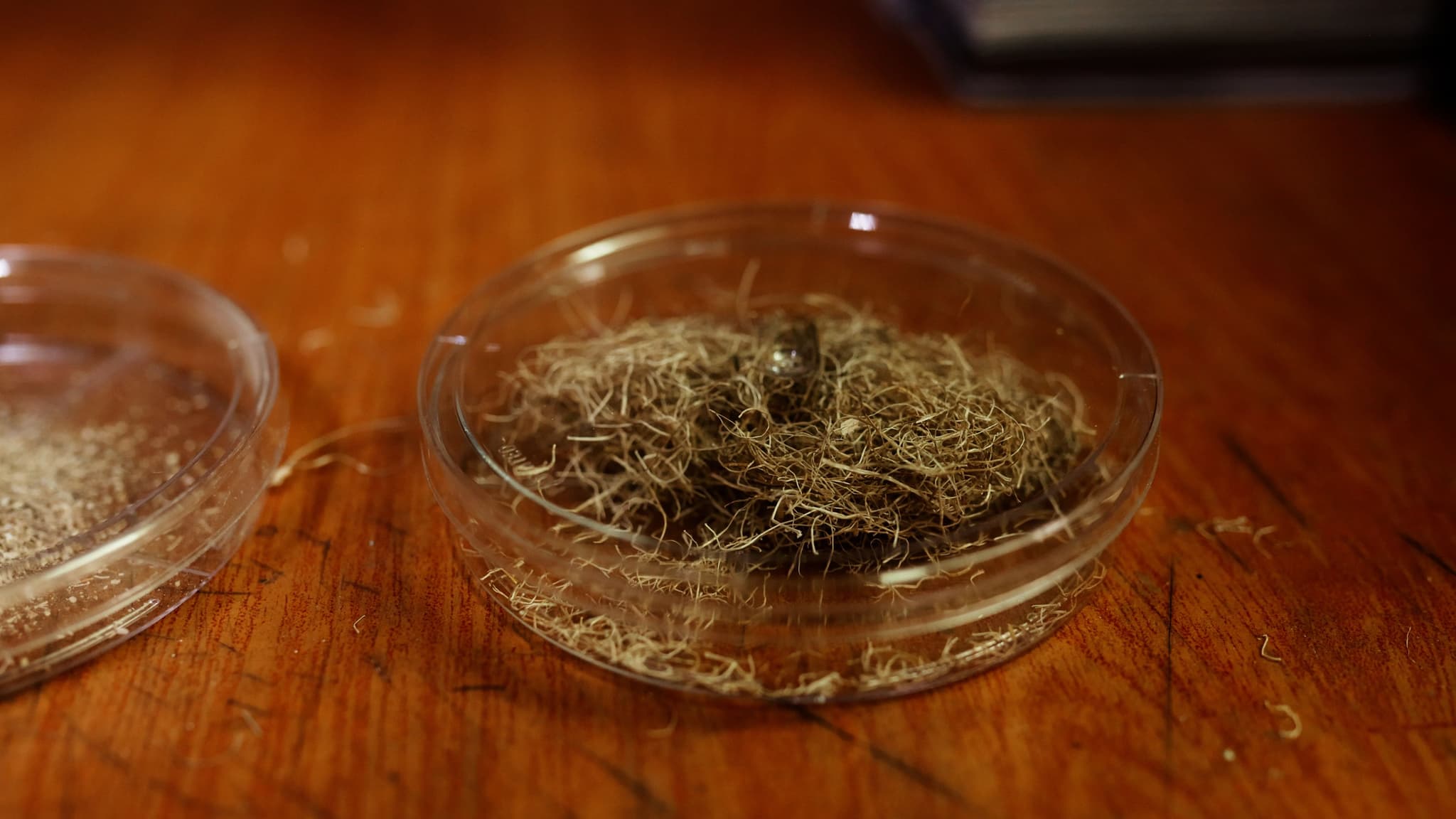  DESSERTO making process 