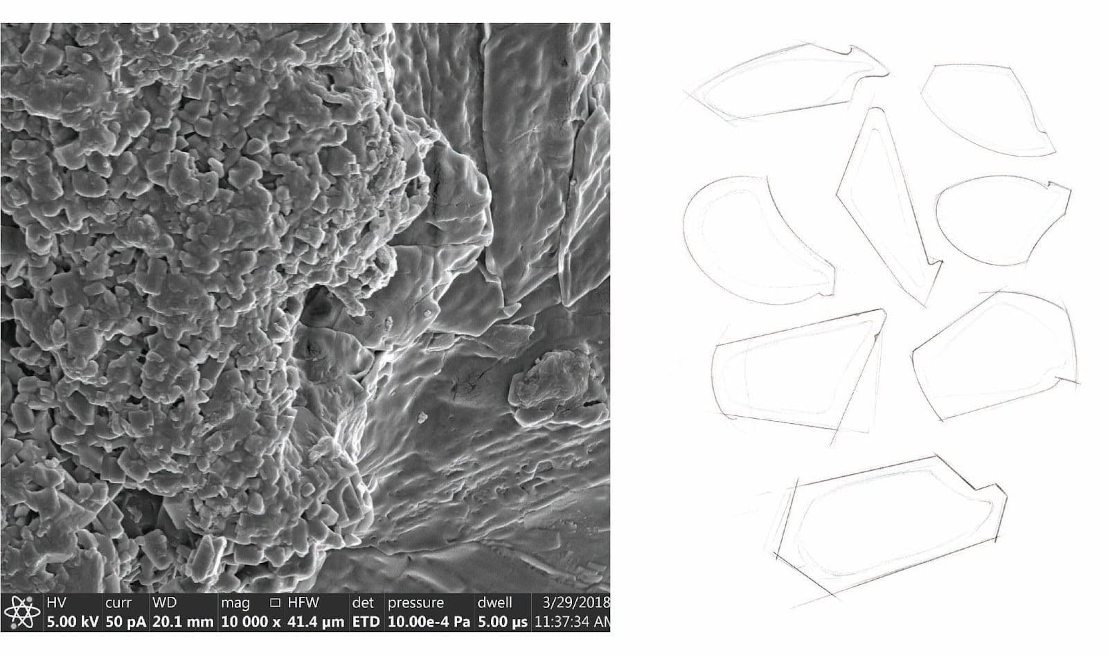  Simple form sketches (right) inspired by ESM image (left) (Photo by Lizzie Wright) 