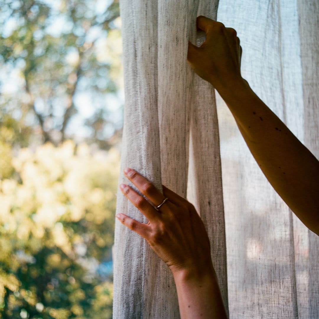 Regenerative cotton grows fibre, and future.
