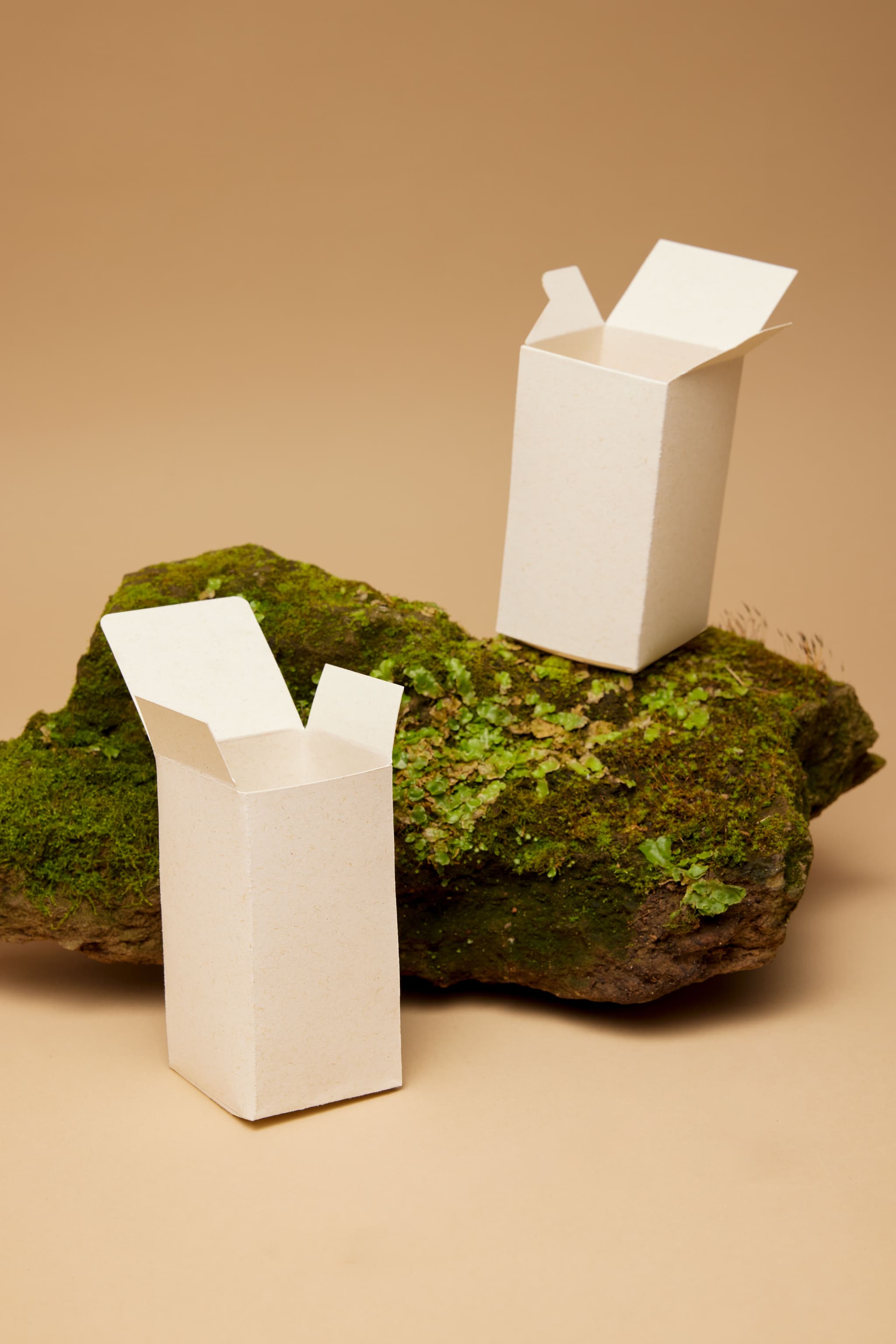 Restalk Box Close Look