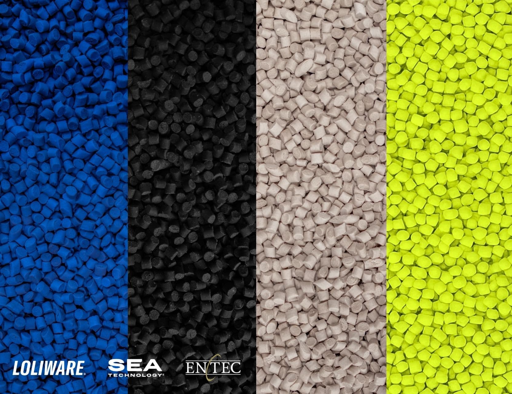 A sea of possibility. LOLIWARE®’s SEA Tech® resin showcases the scale-ready potential of seaweed to reshape the materials world.