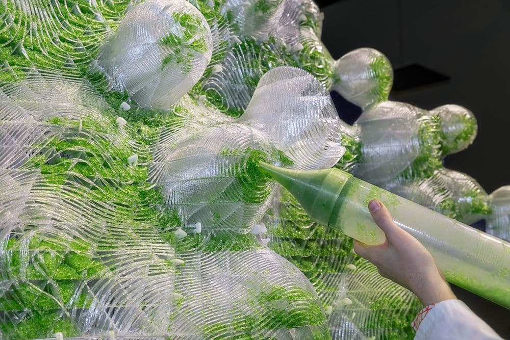 La Fabrique du Vivant
photo by ©NAARO