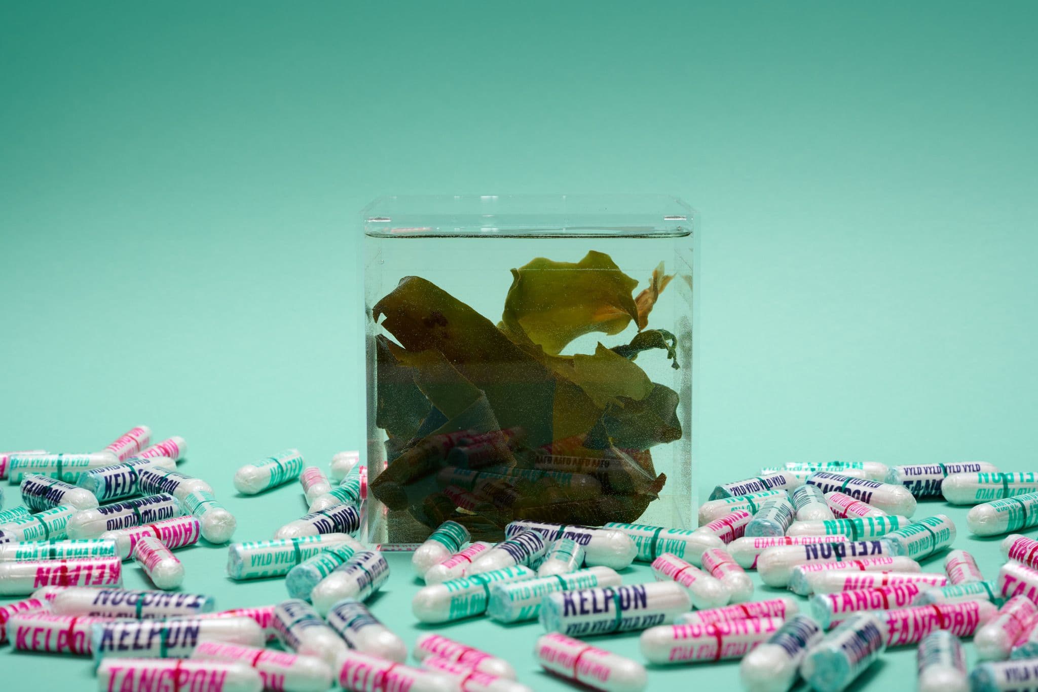 The Rise of Algae Fiber in Tampons: Vyld’s Mission to Rethink Periods Without Stigma