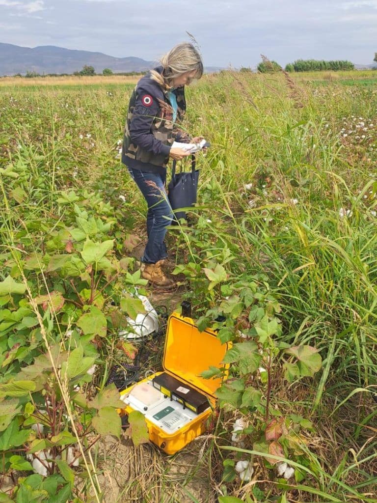 Egedeniz Textile's Farm