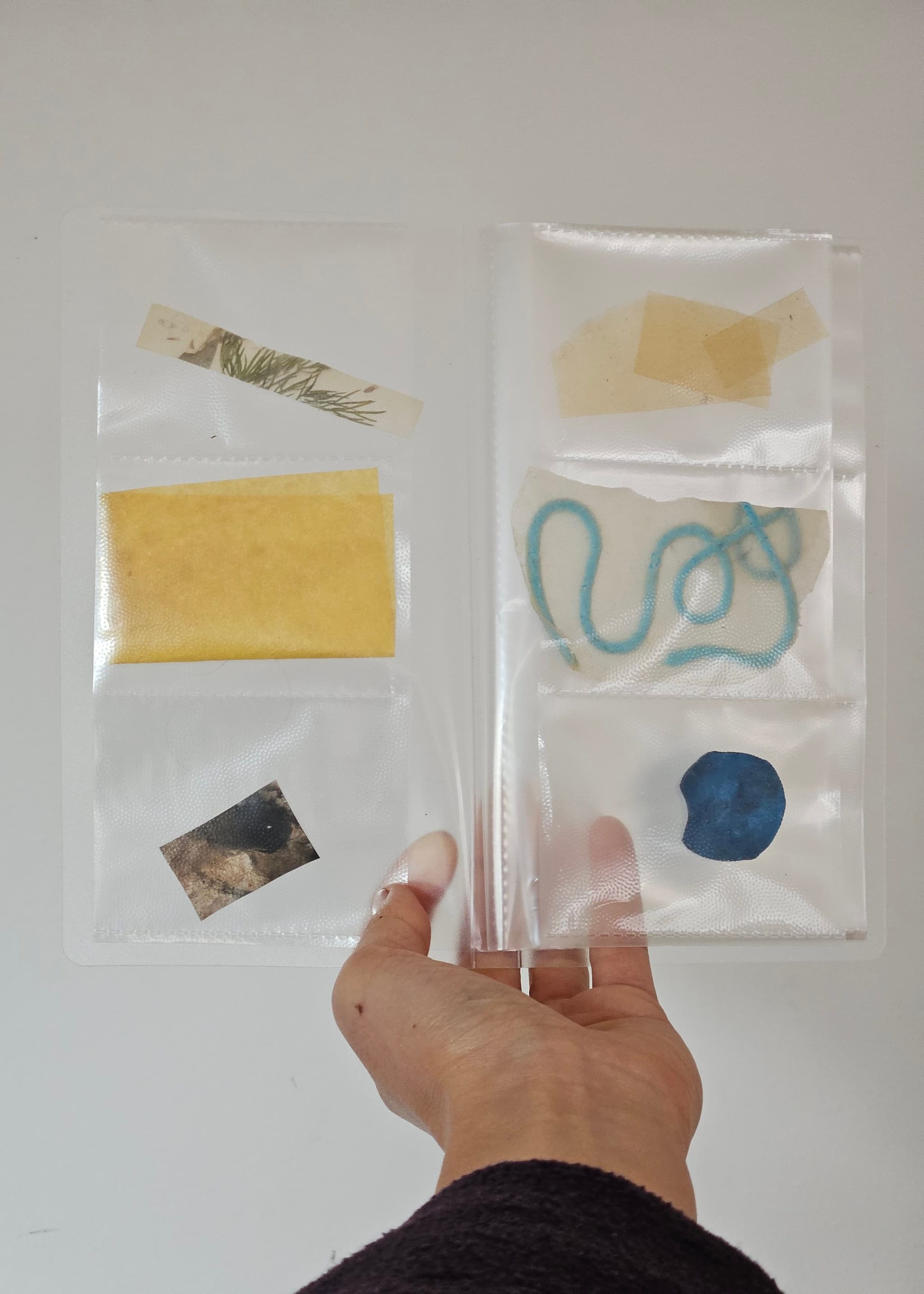 Seaweed-based bioplastics inspire versatile experiments in Cynthia's material research.
