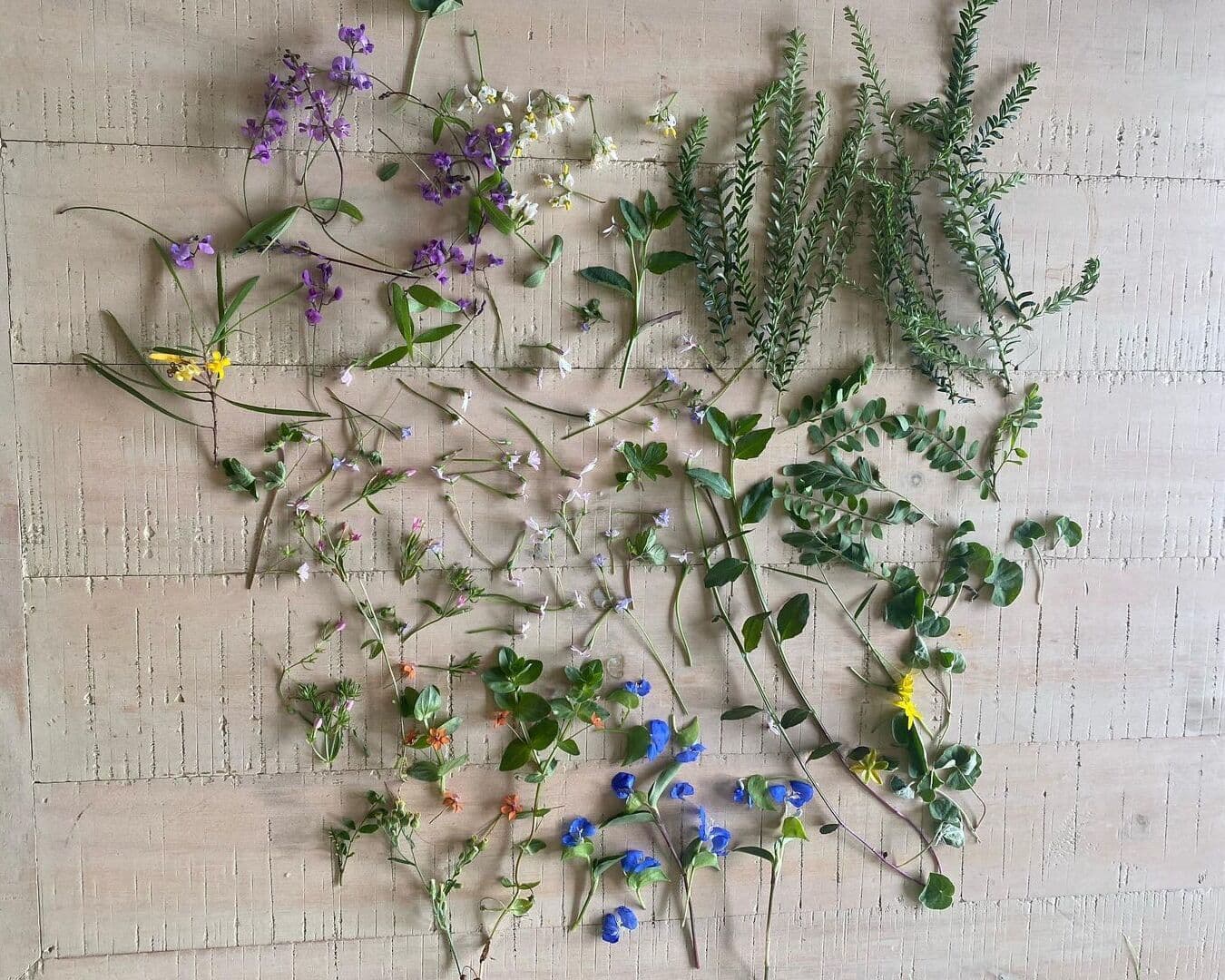 Earth-centric materials: Chloe Harper's experimentalism