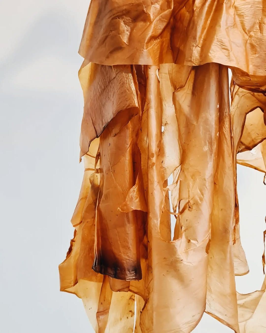 Photo courtesy of Maja Halilovic.