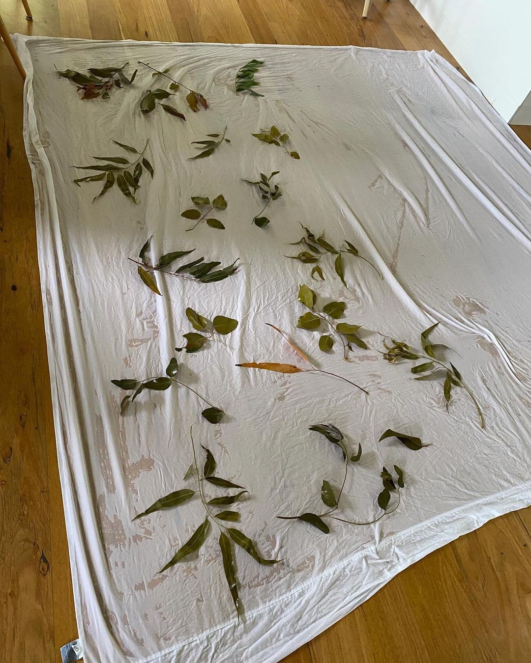 Testing in biodesign.