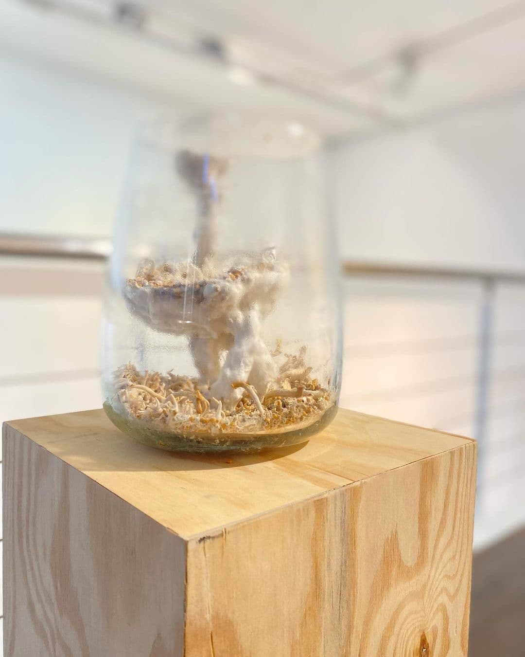 Mycelium work by Anna Handick