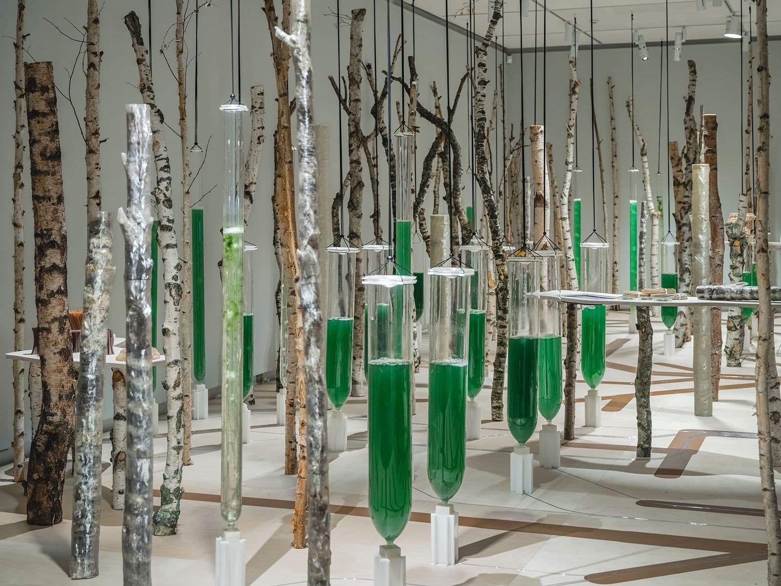 Deep Forest at Louisiana Museum of Modern Art
photo by ©Rasmus Hjortshøj