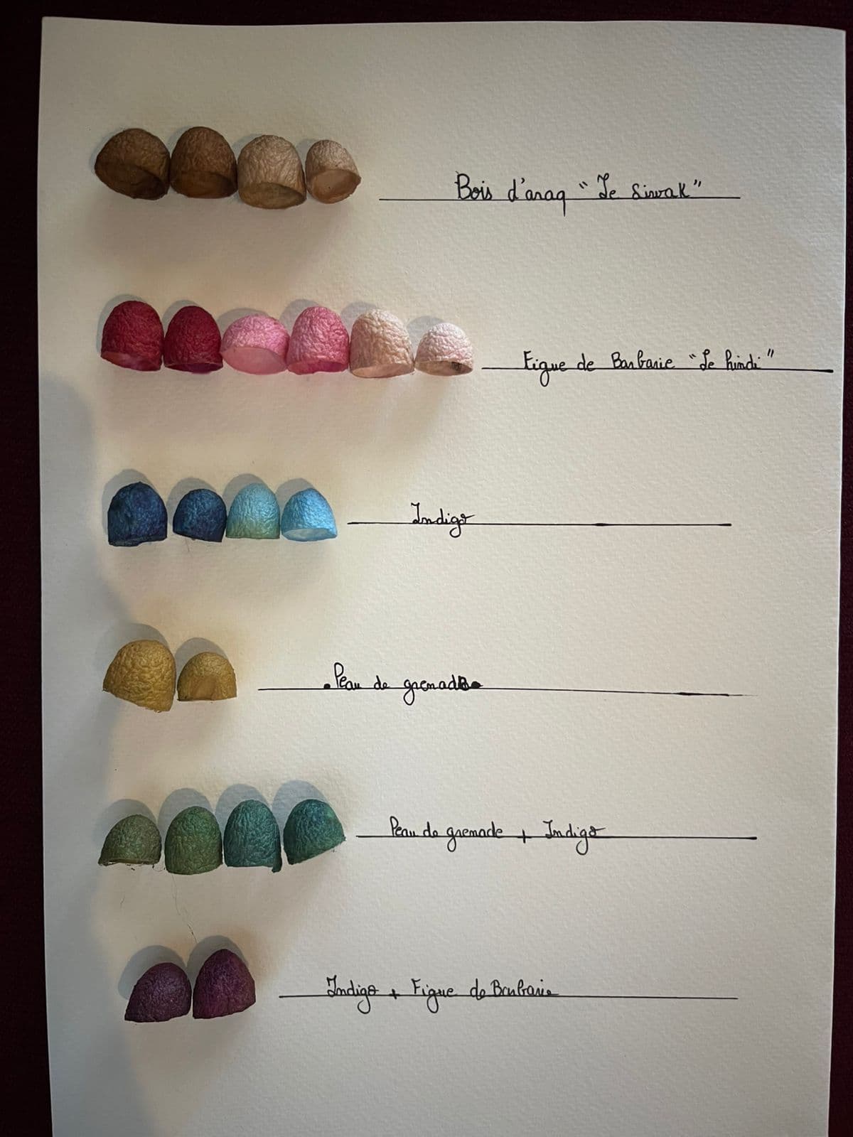 ALBA SILK Natural Color Palet