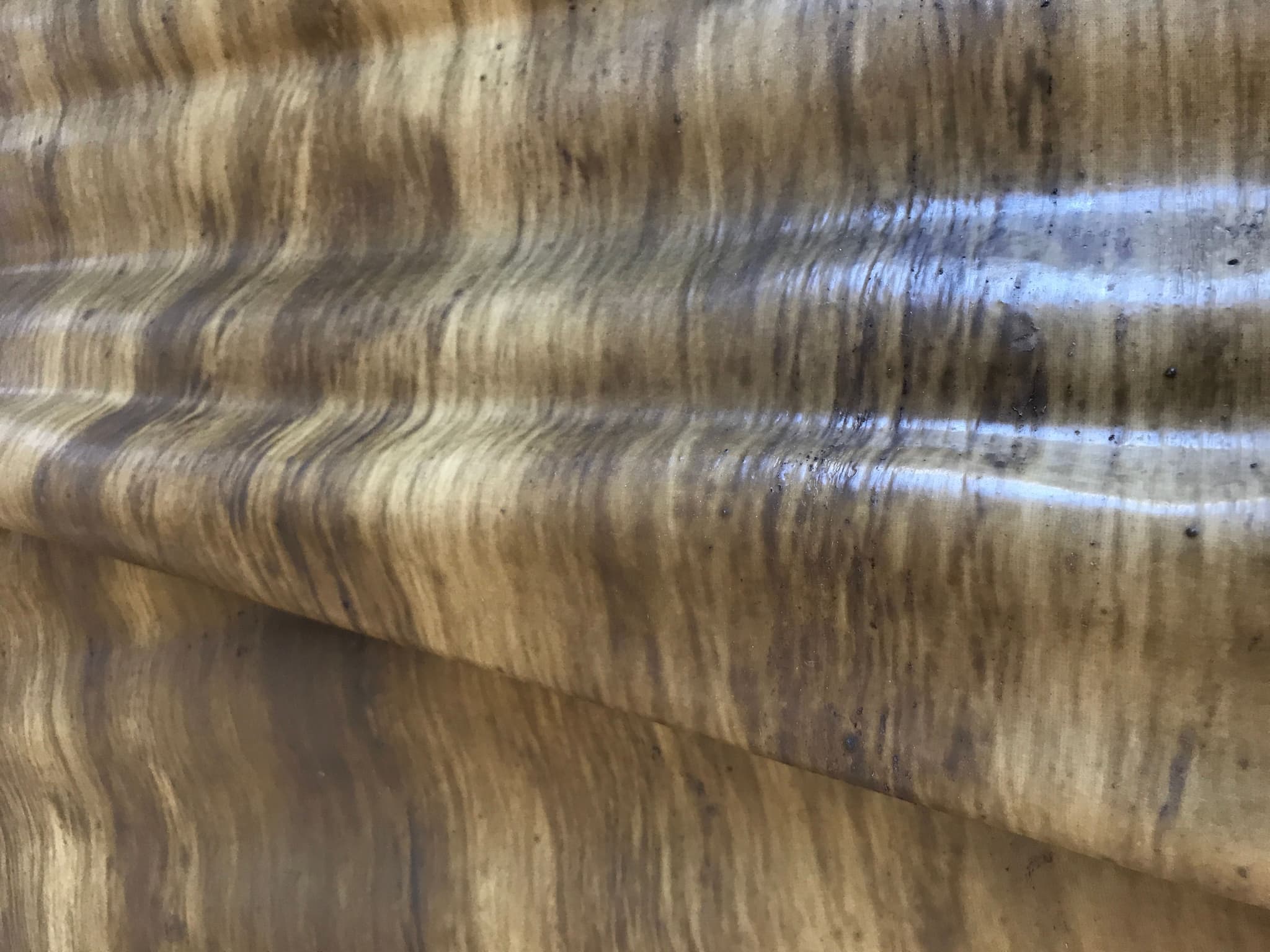 TEA - Rubberised textiles from the Amazon rainforest (also a wild rubber material)