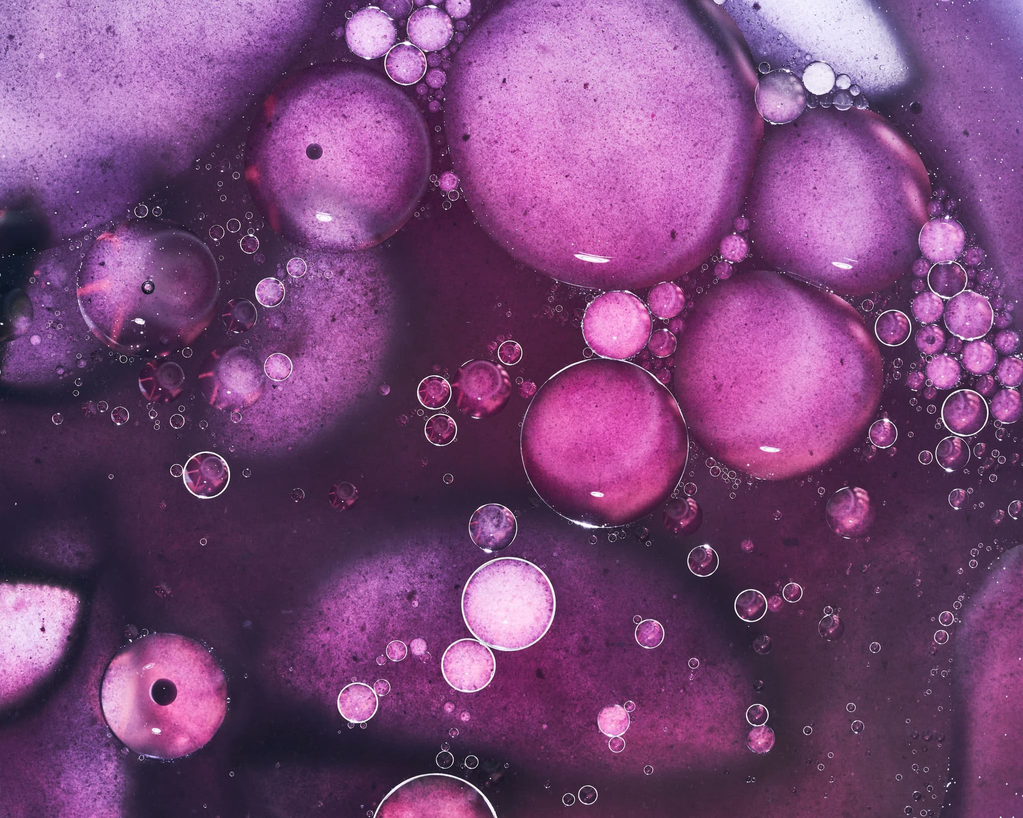 Photo courtesy of Algaeing.