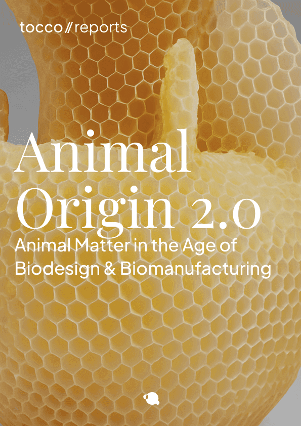 Glues & Adhesives 2030 Edition Report Cover