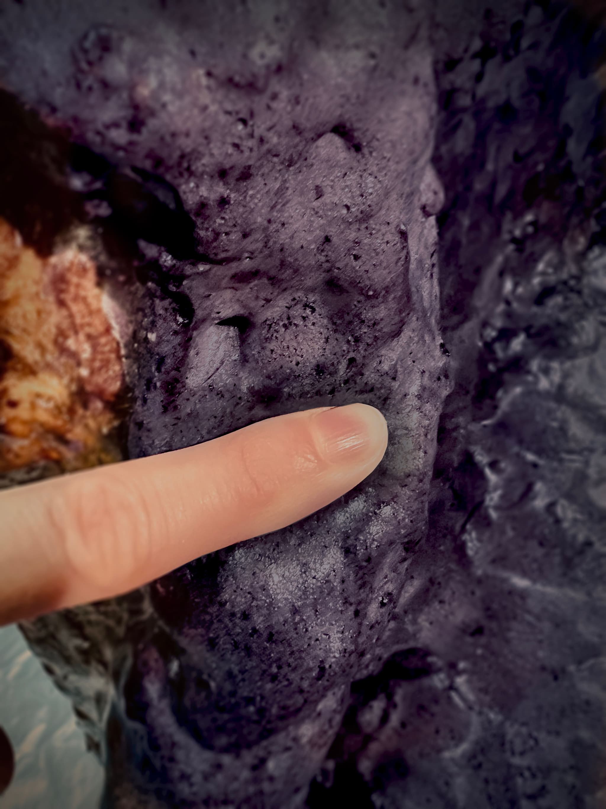 Bark Foam. Photo courtesy of Sabrina Merayo.