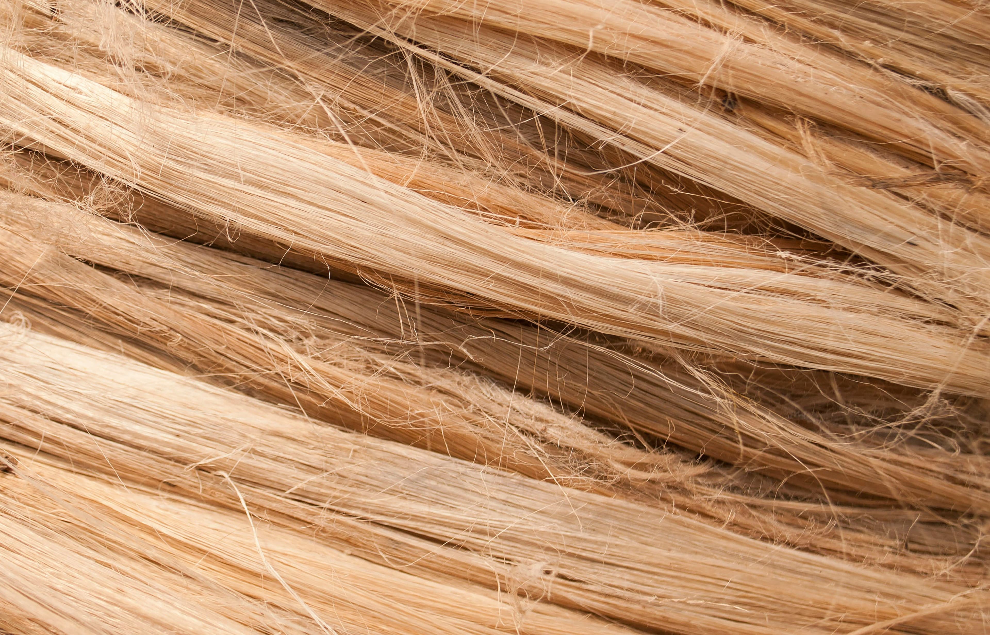 Natural Materials Unlimited Turns EU Bast Fibres into Scalable, Low-Waste Goods
