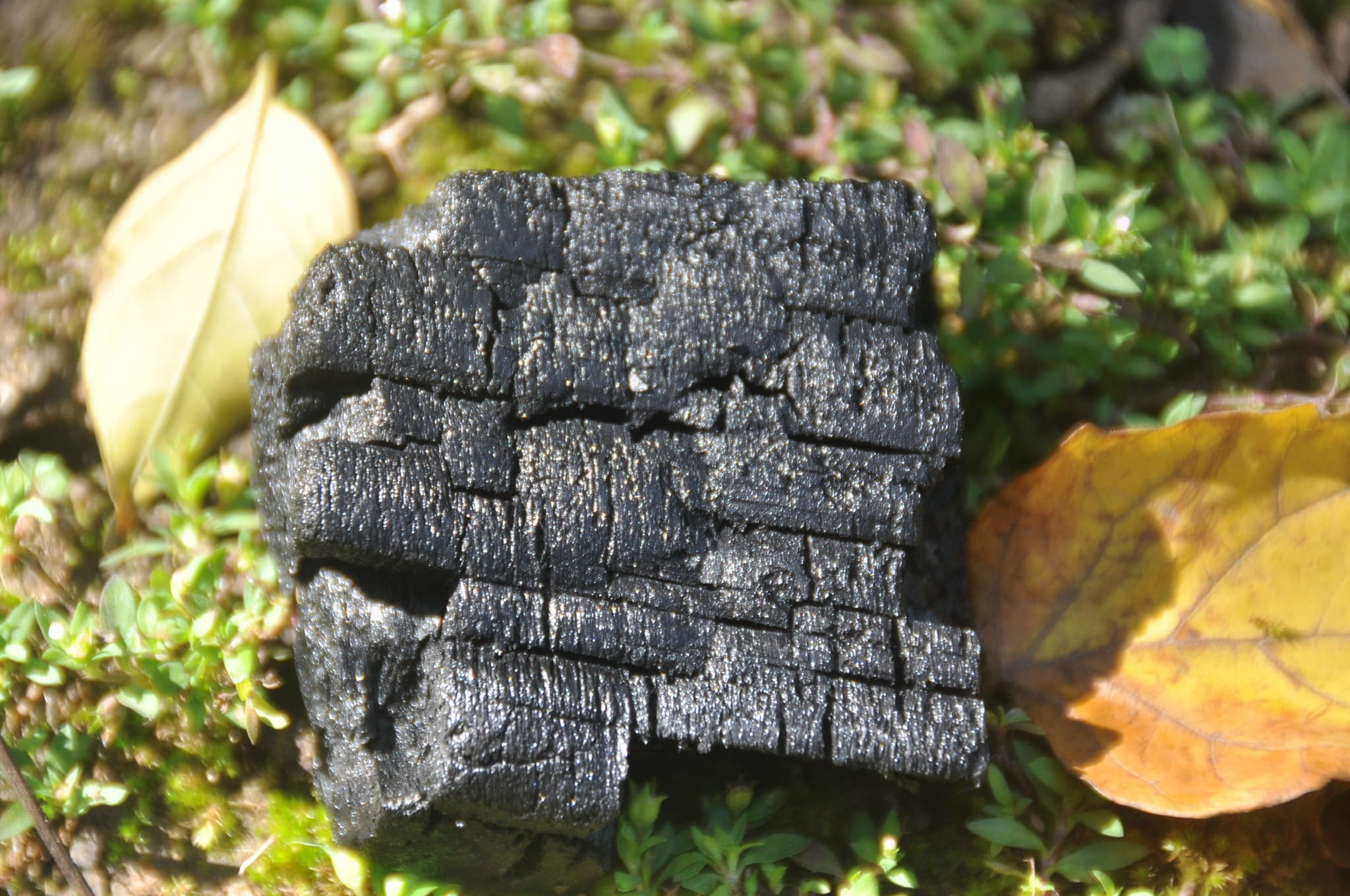 Biochar used in the water filtration plant