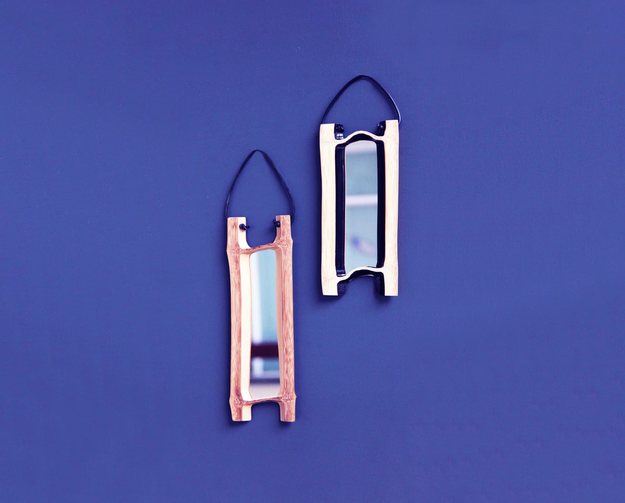 The Bones Collection