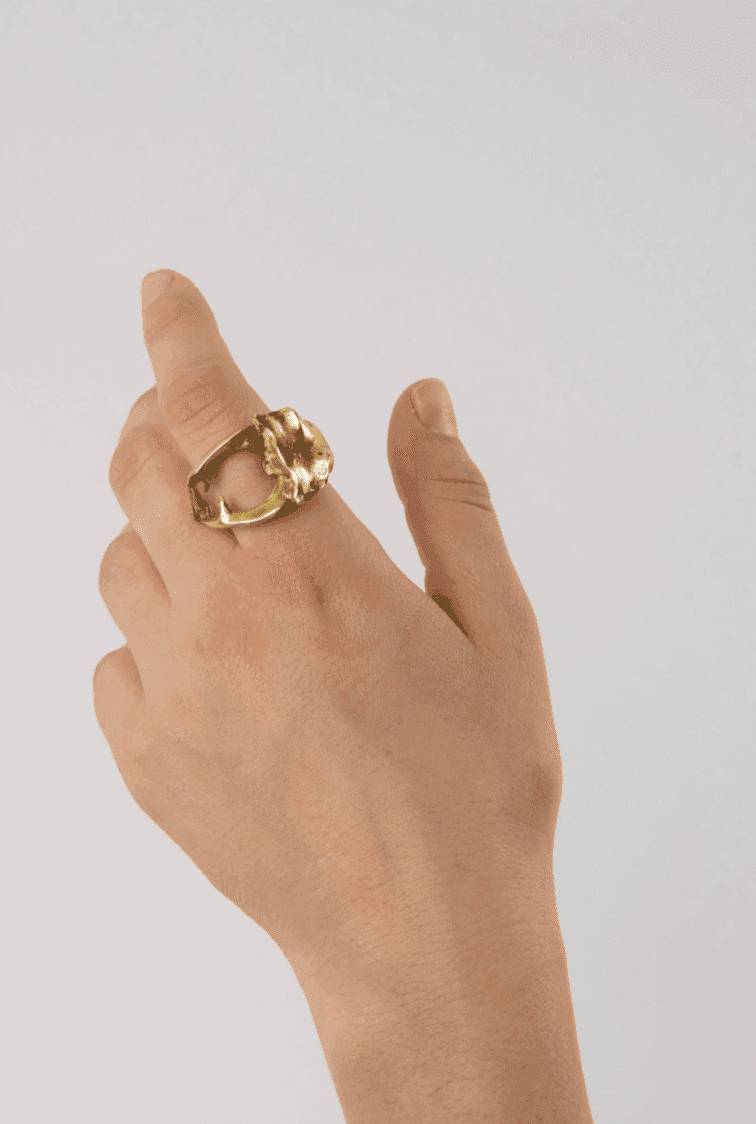 Lucanus Cervus ,Bronze and crystal casting, 2018 (Photo courtesy of Apolline Morel-Lab)