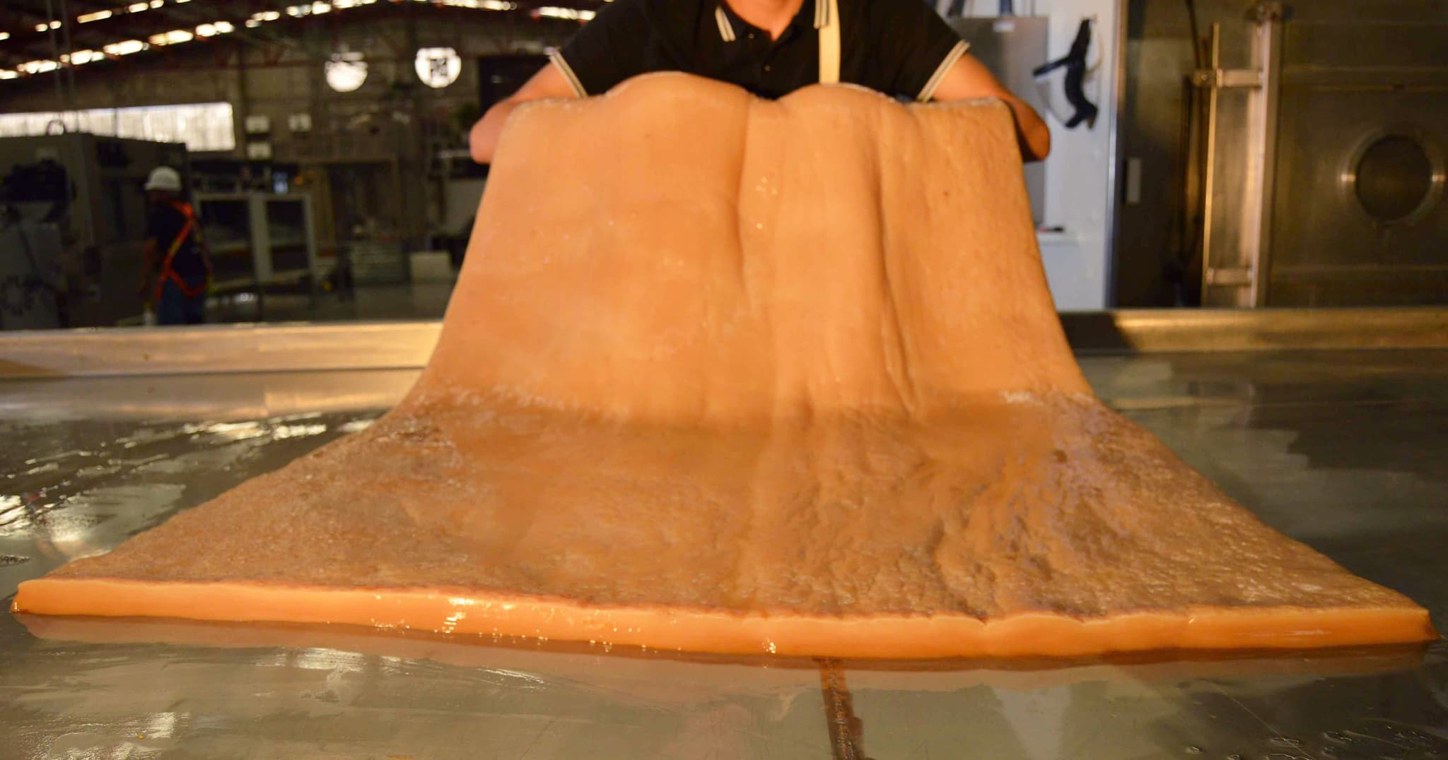 Cellulose production process at Polybion