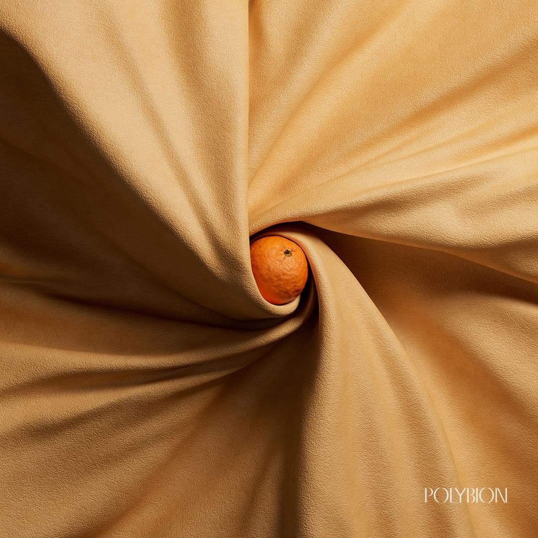 Celium grows by feeding bacteria with agroindustrial fruit waste. Redirecting fruit waste into Celium not only traps carbon during its garment lifecycle but also offsets carbon released during composting.