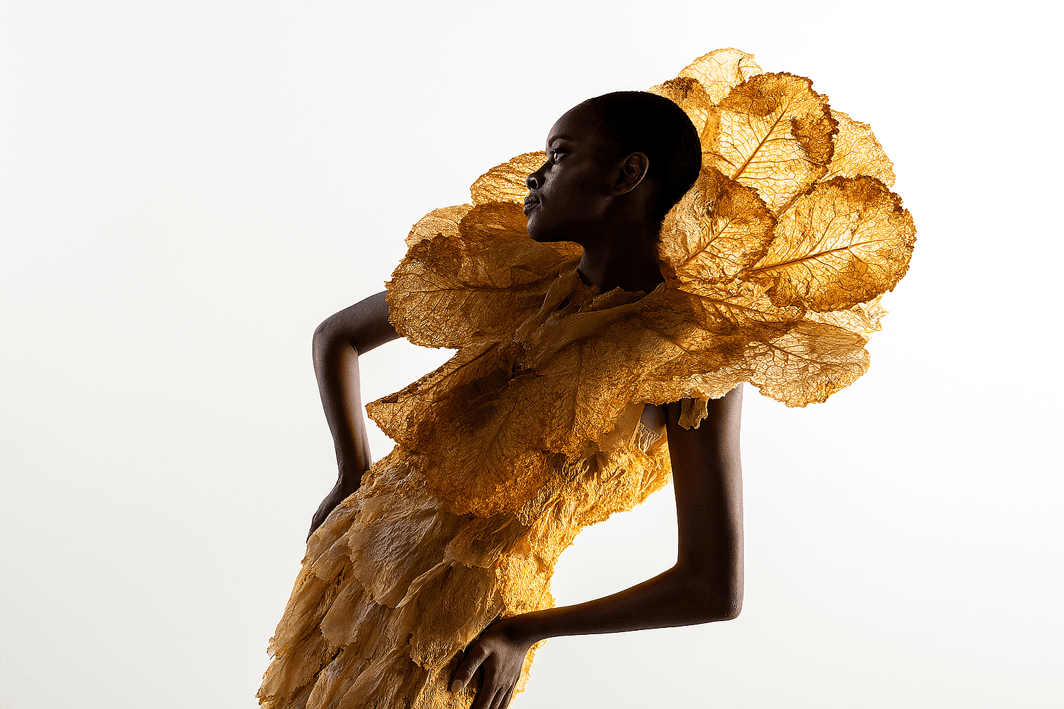 Citrus, Glycerol, and Grace: Mummified Bio-Waste in Agnes van Dijk’s Conceptual Couture