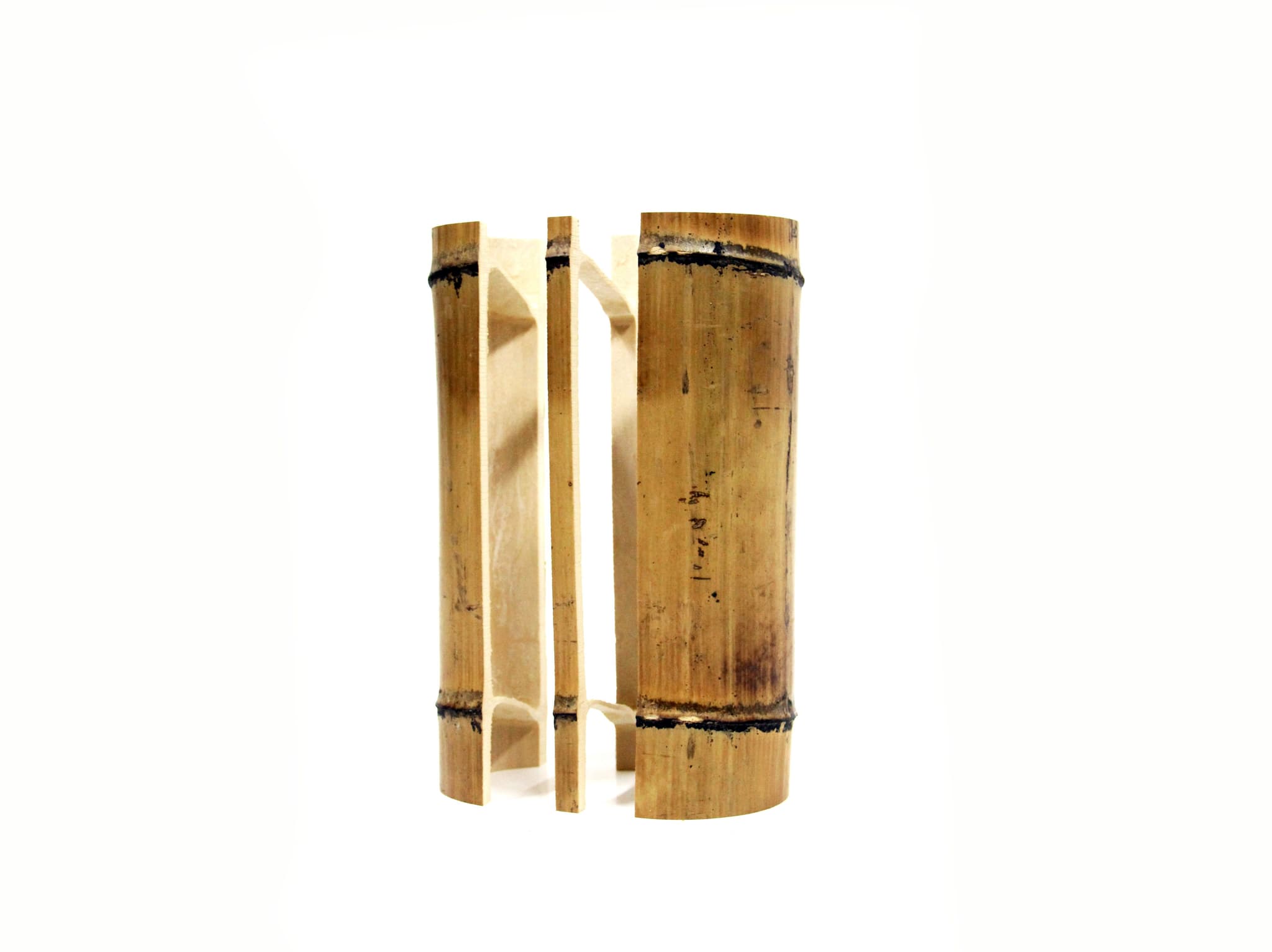 The Bones Collection by Dorian Étienne