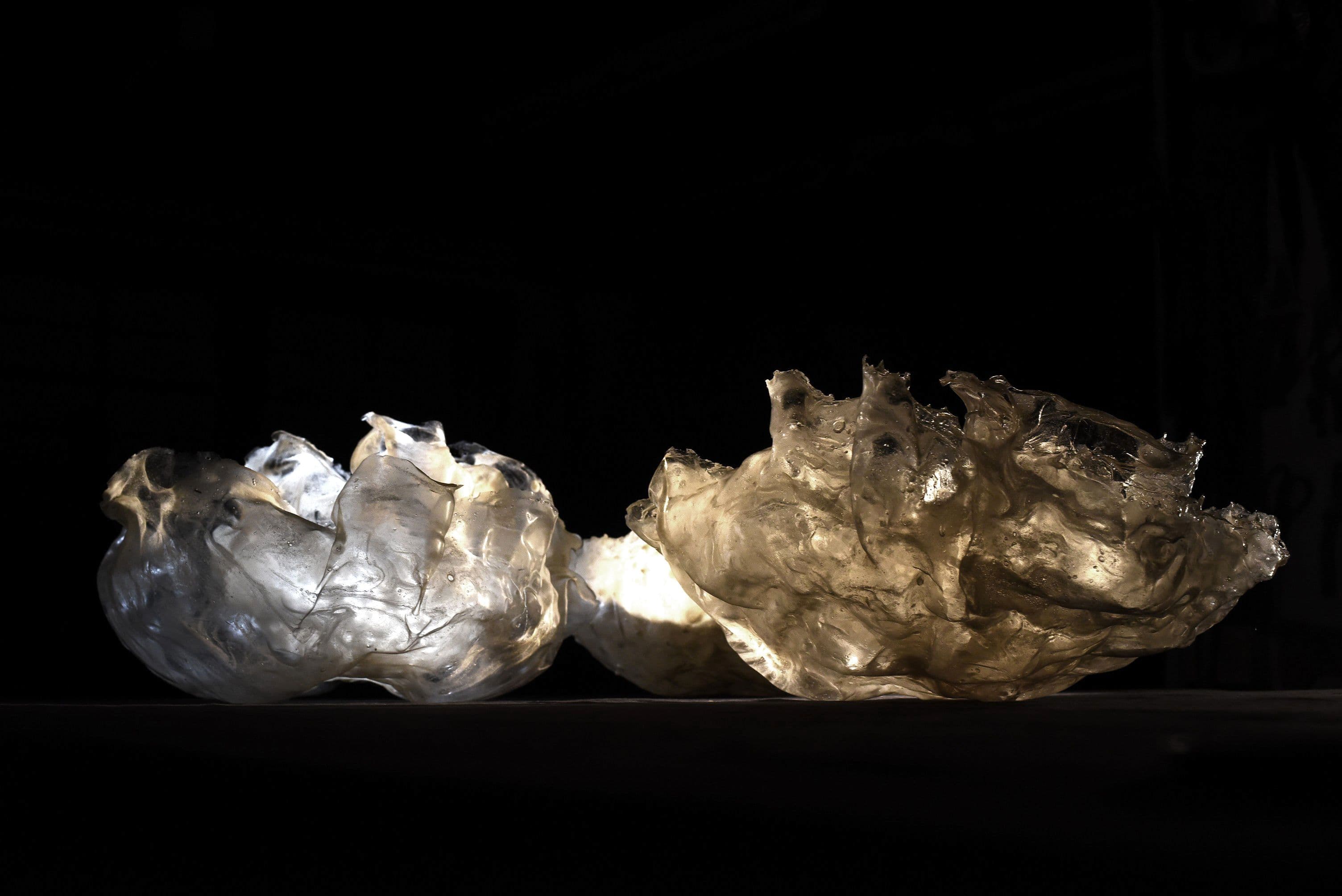 Laura Messing’s Bioart Revolution: Moebio® Bioleather and Biodegradable Sculptures