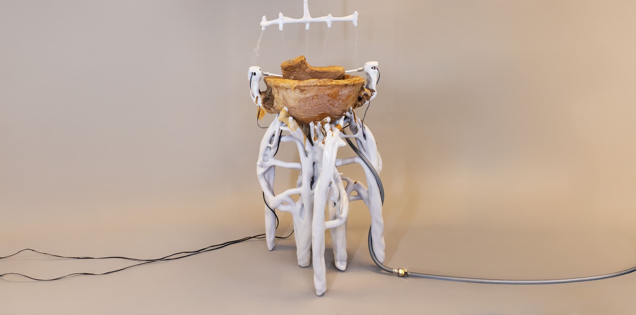 The "My Living Bioreactor" hypothesis posits that a necessary relationship exists when interacting with an entity: to successfully derive benefit from it, one must move beyond mere exploitation and engage in responsible care and maintenance.