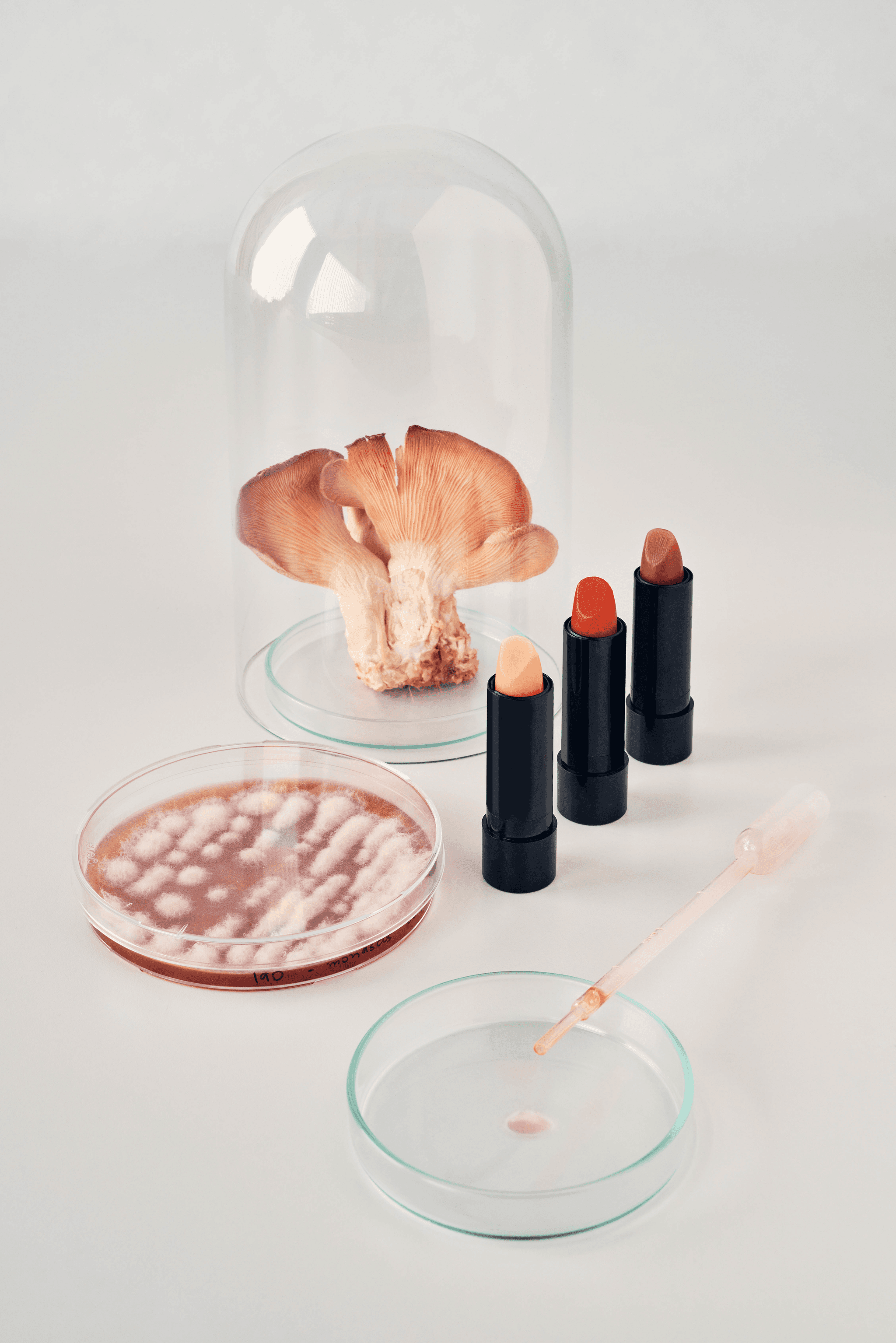 Photo courtesy of Jesse Adler.