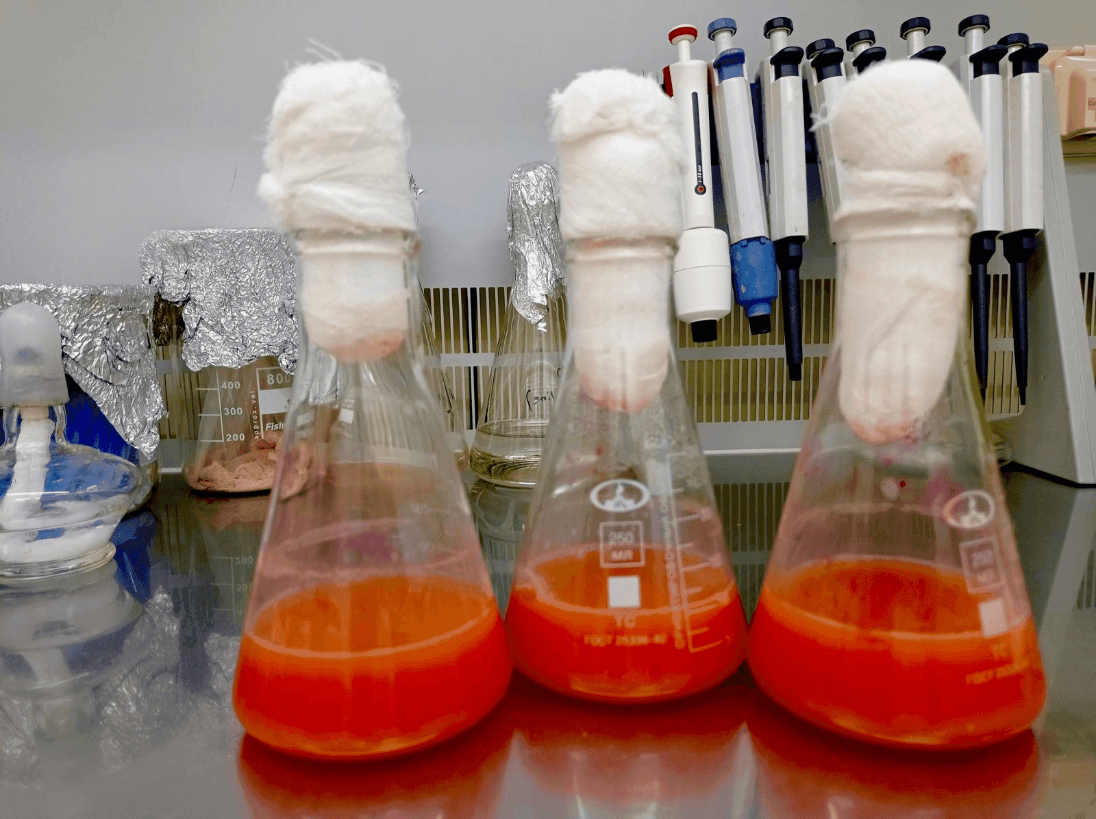 Cultivation of Colours